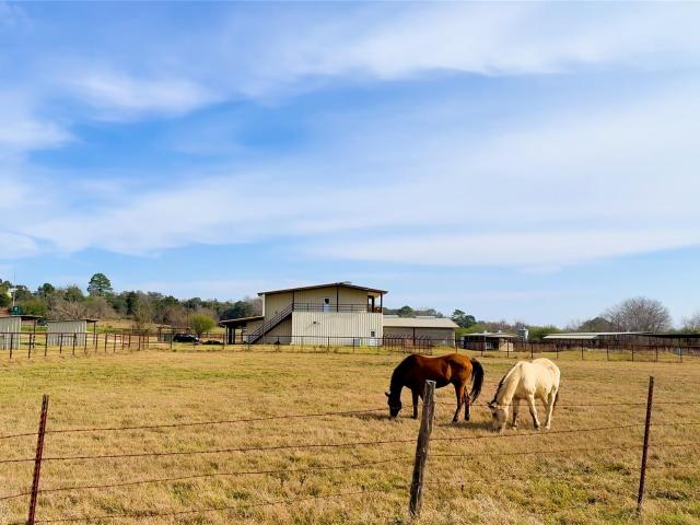 Farm for sale in Smithville, Texas