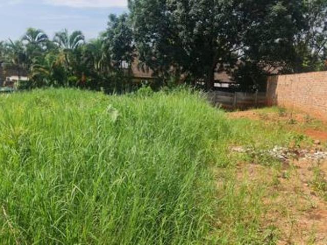 Land for sale in Mopani, Limpopo