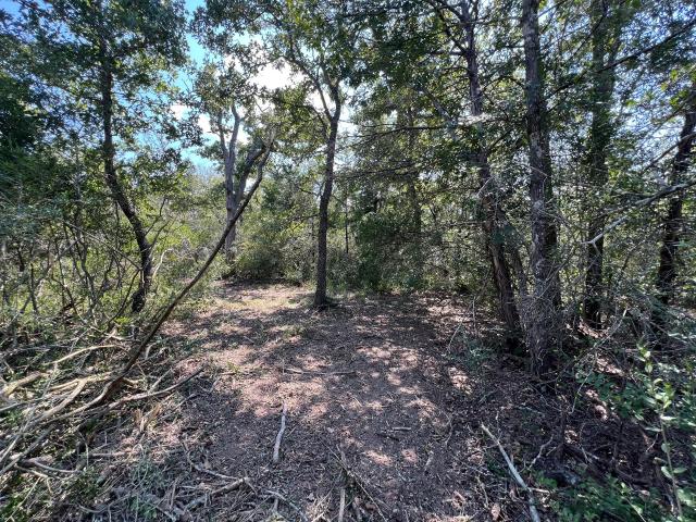 Land for sale in Somerville, Texas