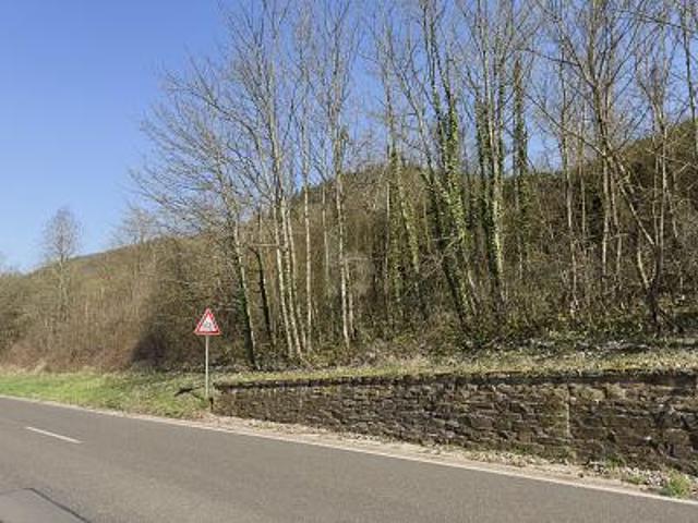 Erdgeschosswohnung kaufen in Bullay, Rheinland-Pfalz