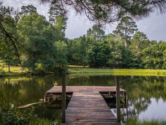 Farm for sale in Village Mills, Texas