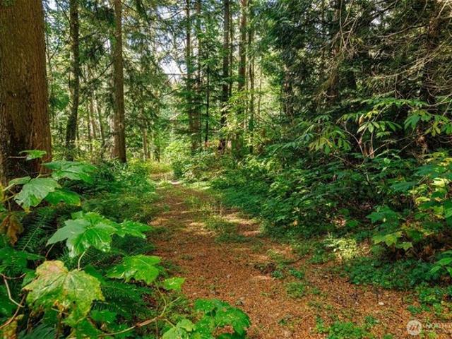 Land for sale in Sumas, Washington