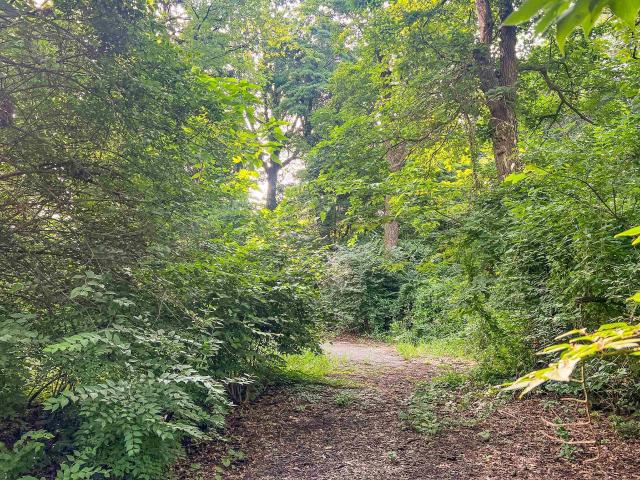 Land for sale in Notre Dame, Indiana