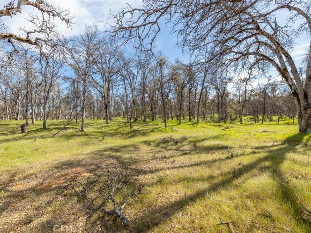 Land for sale in Mariposa