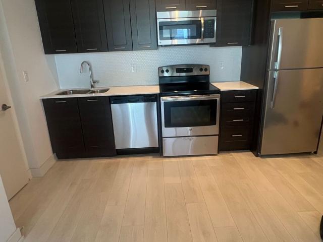 House for rent in Spadina—Fort York, Toronto
