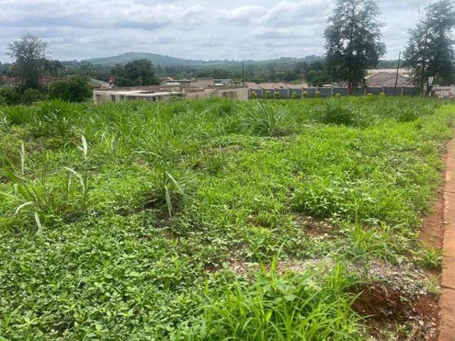 Land for sale in Mopani, Limpopo
