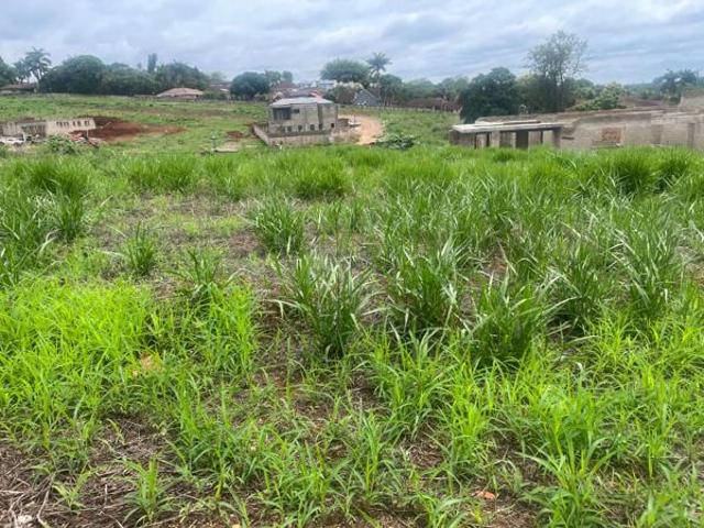 Land for sale in Mopani, Limpopo
