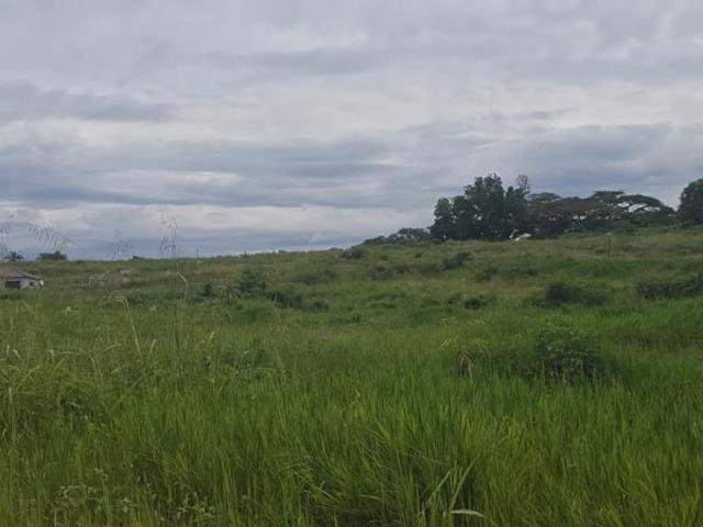 Land for sale in Mopani, Limpopo