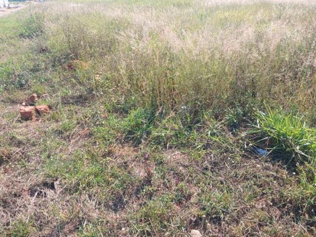 Land for sale in Mopani, Limpopo