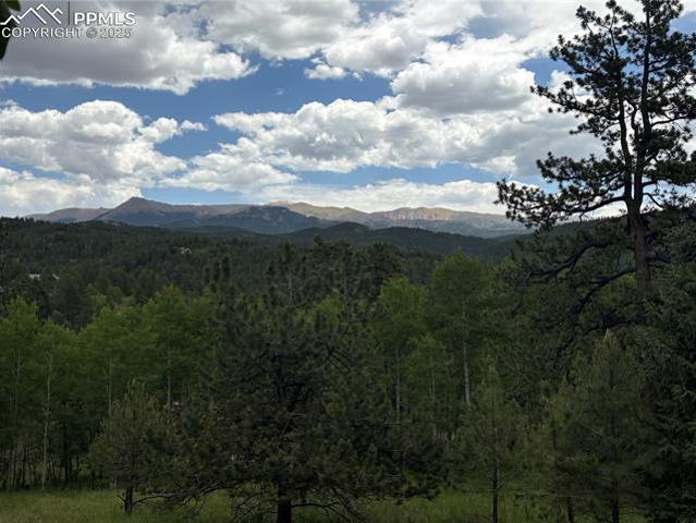 Land for sale in Cripple Creek
