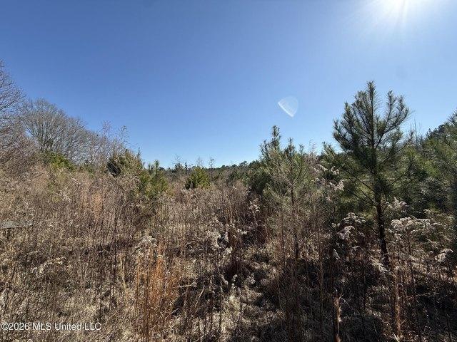 Land for sale in Prentiss, Jefferson Davis County