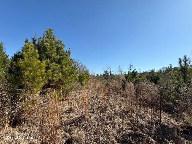 Land for sale in Prentiss, Jefferson Davis County