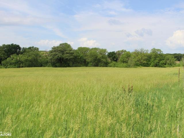 Land for sale in Henderson, Iowa