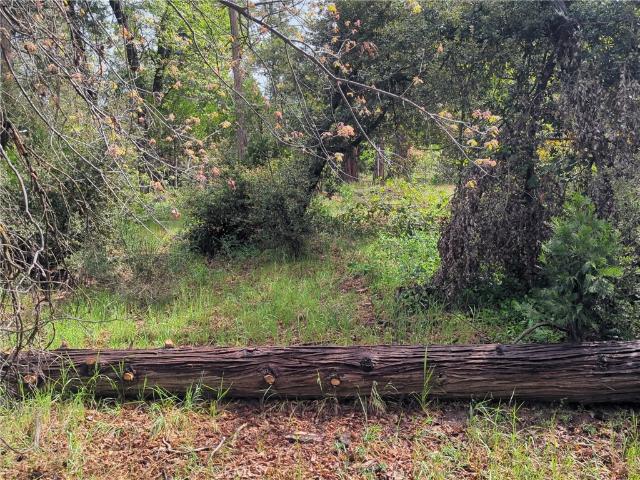 Land for sale in Bass Lake, California
