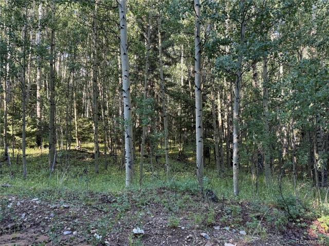 Property for sale in Fort Garland, Colorado