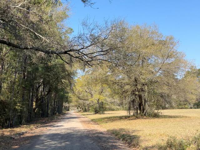 Land for sale in Adams Run, South Carolina