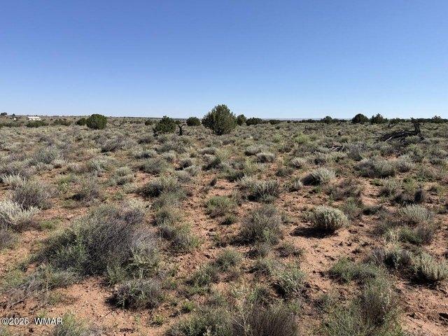 Land for sale in Navajo, Arizona