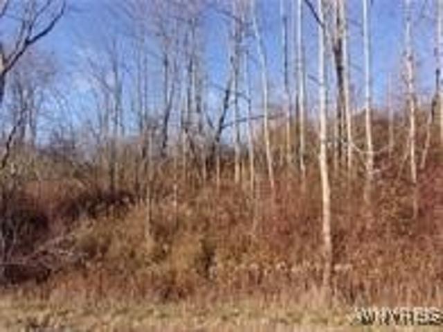 Land for sale in Ellicottville, New York