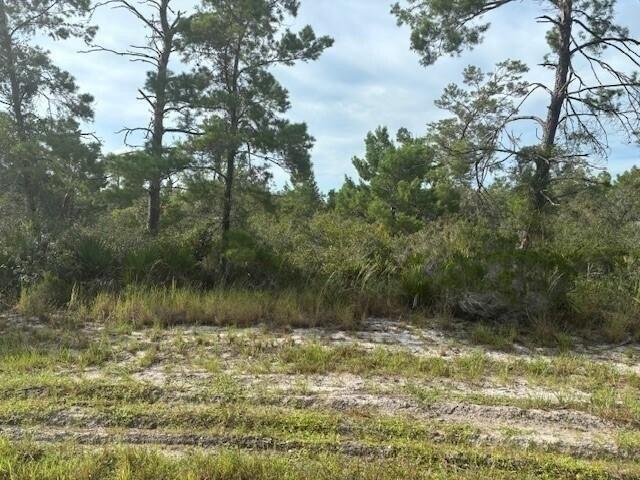 Land for sale in Lake Placid, Florida
