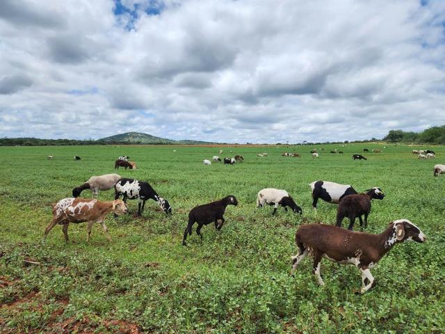 Farm for sale in Vhembe, Limpopo