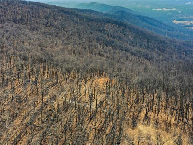 Land for sale in Pickens, Georgia