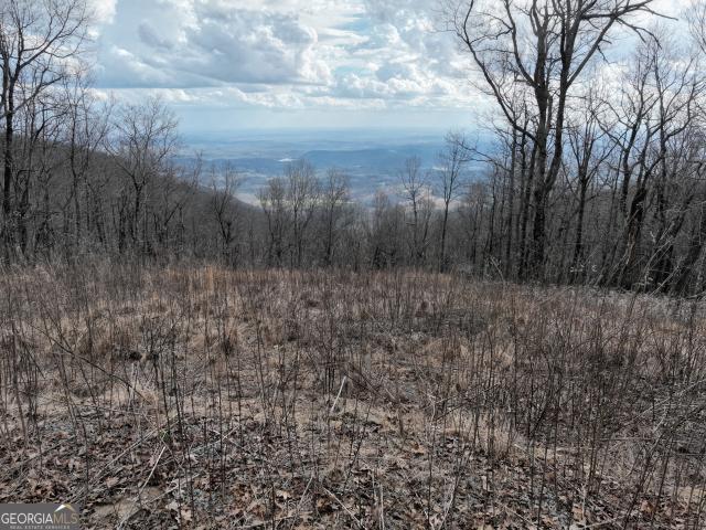 Land for sale in Pickens, Georgia