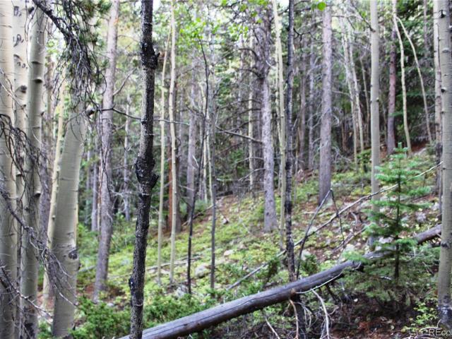 Land for sale in Black Hawk, Colorado
