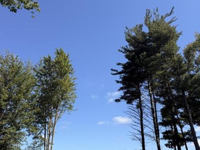 Land for sale in Hudsonville, Michigan