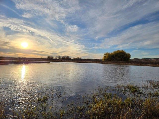 Farm for sale in Fort Sumner, New Mexico