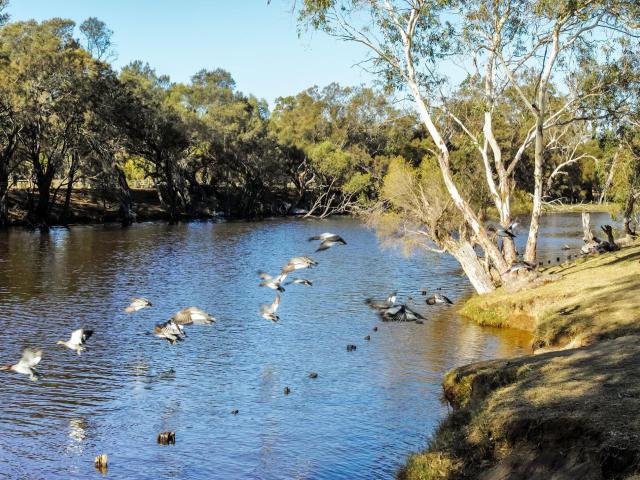 Apartment for sale in Viveash, Western Australia