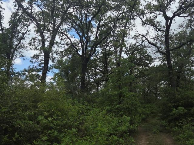 House for sale in Milam, Texas