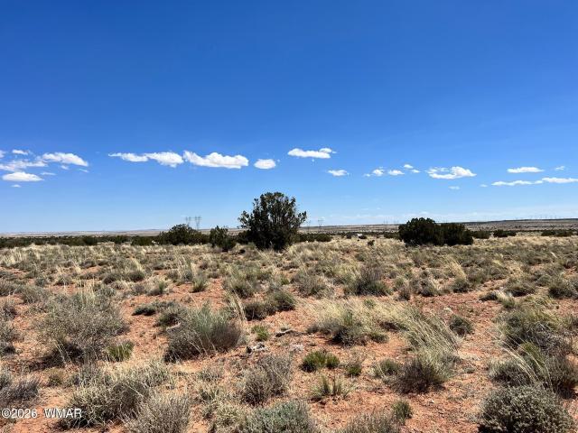 Land for sale in Navajo, Arizona