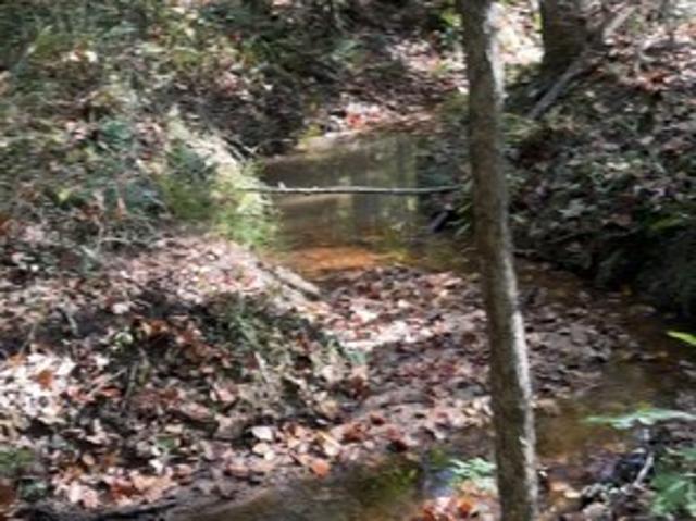 Land for sale in Tennessee