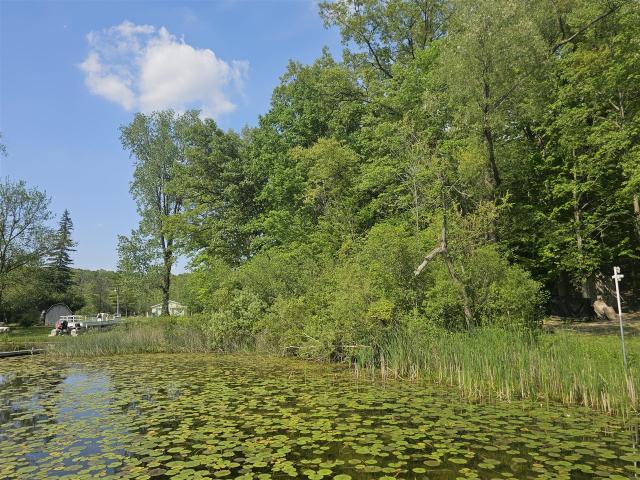 Land for sale in Hillsdale, Michigan