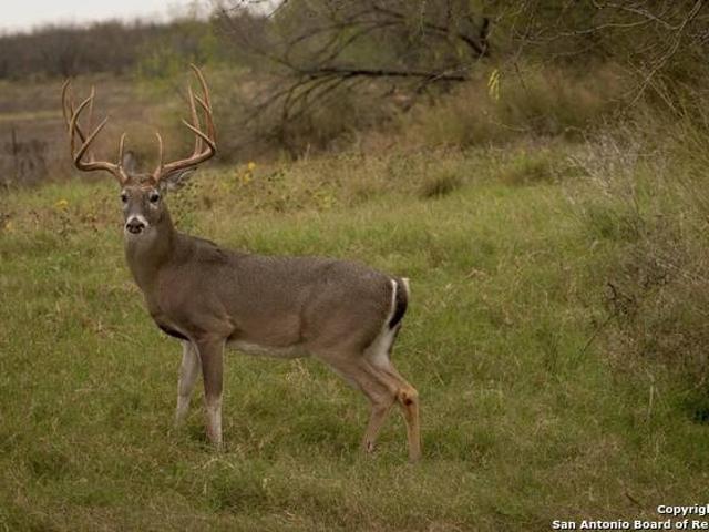 Commercial Land for sale in Pearsall