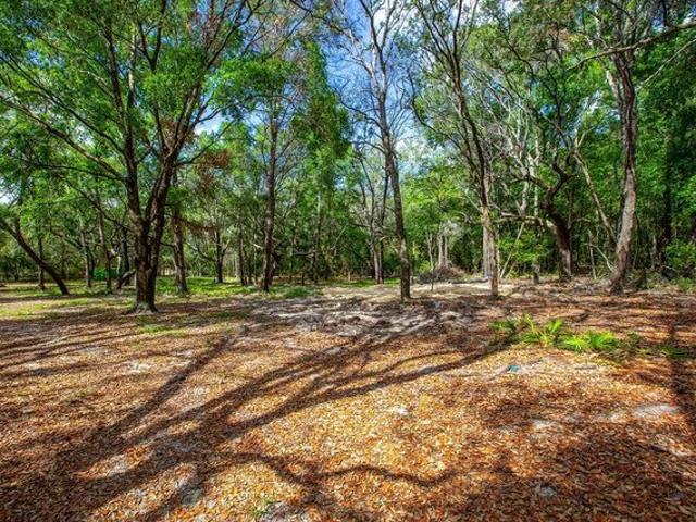 Land for sale in Trenton, Florida
