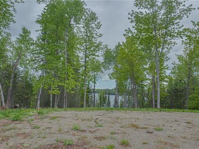 Land for sale in Bigfork, Minnesota