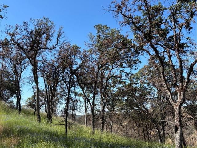 Land for sale in Mariposa