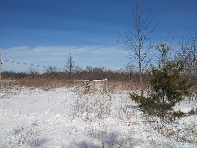 Land for sale in Waverly, Ohio