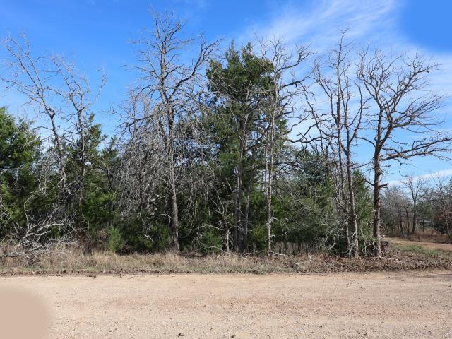 Land for sale in Somerville, Texas