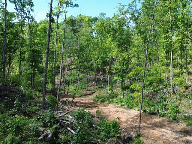 Land for sale in Tennessee