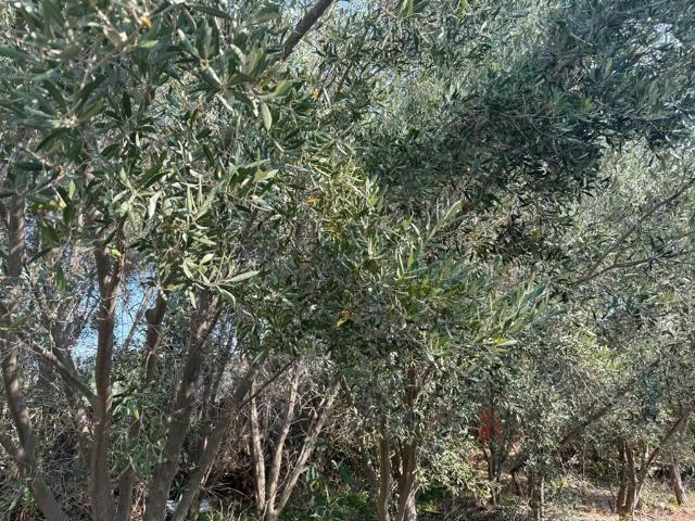 Land for sale in Groot Brak Rivier, Western Cape