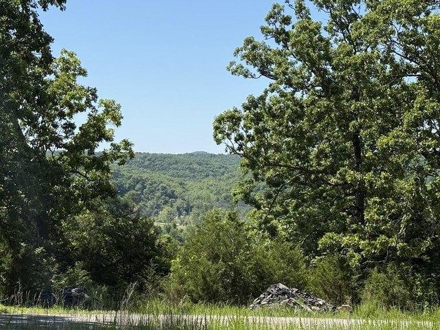 Land for sale in Forsyth, Missouri
