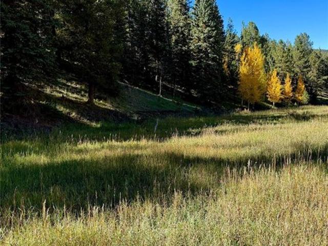 Land for sale in Divide, Teller County