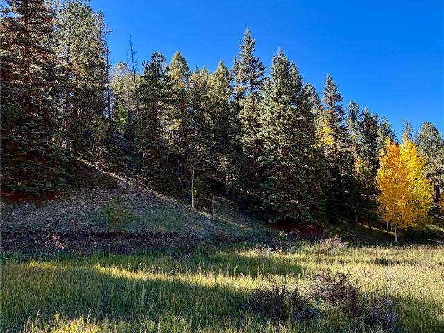 Land for sale in Midland, Divide
