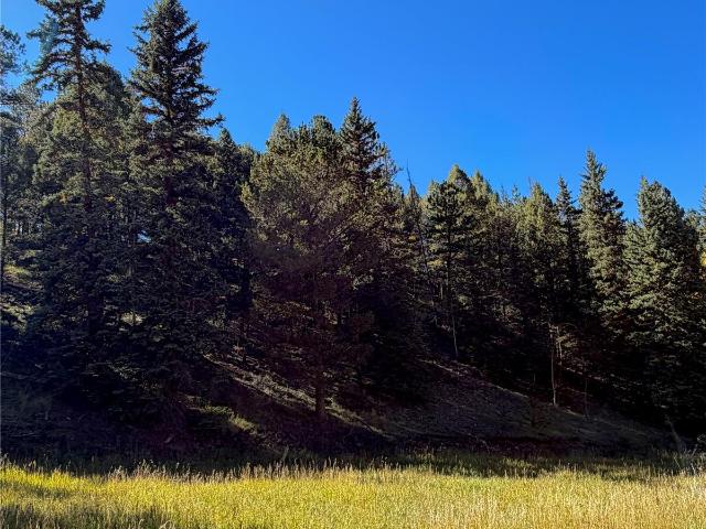 Land for sale in Midland, Divide