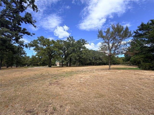 Land for sale in Trinidad, Henderson County