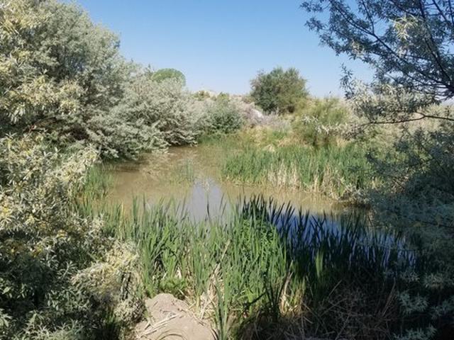 Land for sale in Myton, Utah