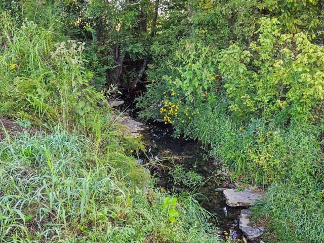 Land for sale in Tennessee