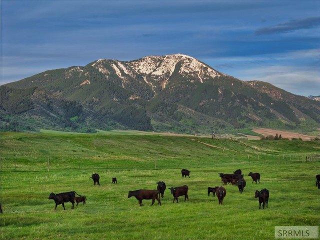 Farm for sale in Swan Valley, Idaho